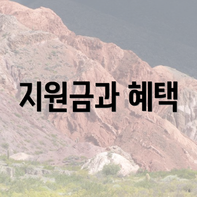 지원금과 혜택