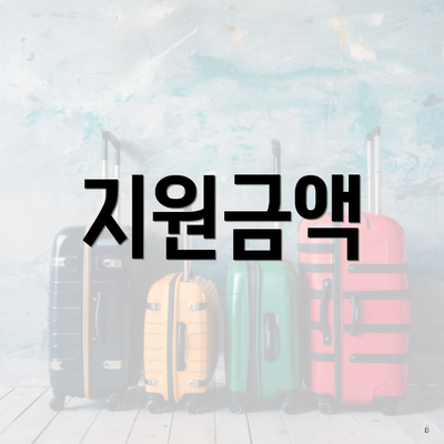 지원금액