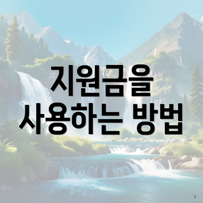 지원금을 사용하는 방법