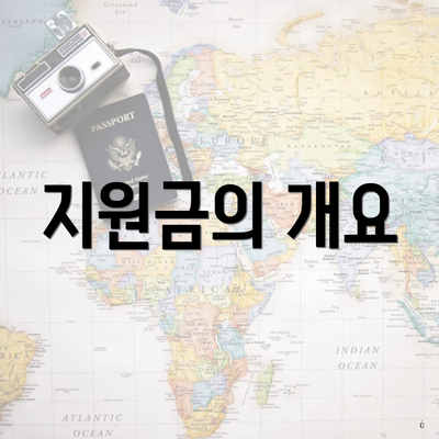 지원금의 개요