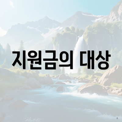 지원금의 대상