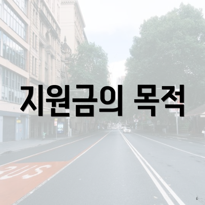 지원금의 목적
