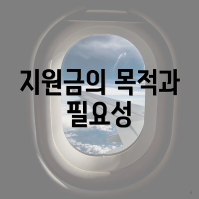 지원금의 목적과 필요성