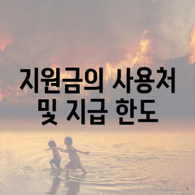 지원금의 사용처 및 지급 한도