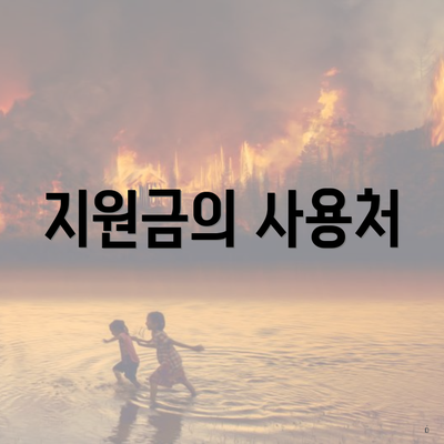 지원금의 사용처