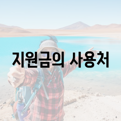 지원금의 사용처