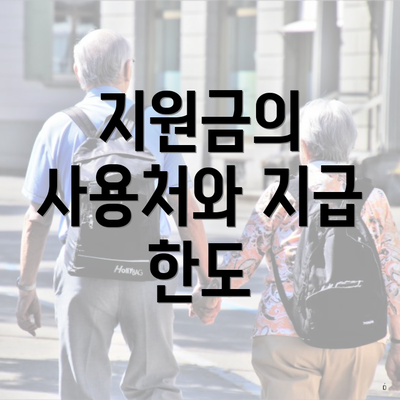 지원금의 사용처와 지급 한도