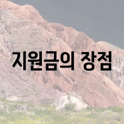 지원금의 장점