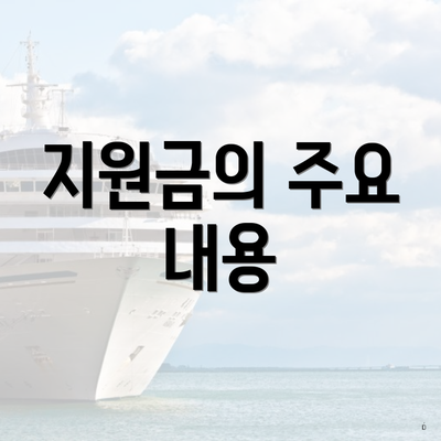 지원금의 주요 내용