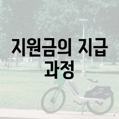 지원금의 지급 과정