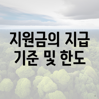 지원금의 지급 기준 및 한도