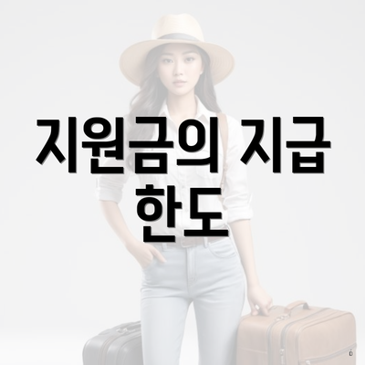 지원금의 지급 한도