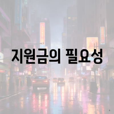 지원금의 필요성