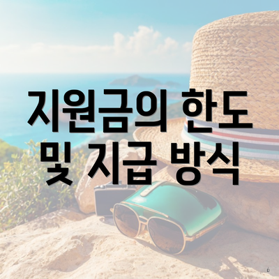 지원금의 한도 및 지급 방식