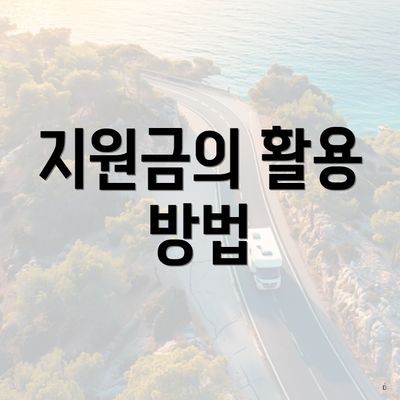 지원금의 활용 방법