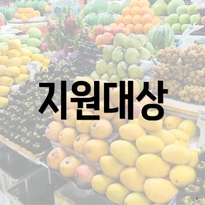 지원대상