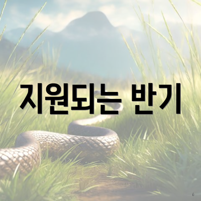 지원되는 반기