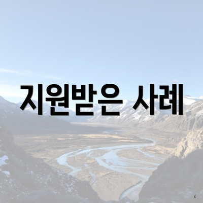 지원받은 사례
