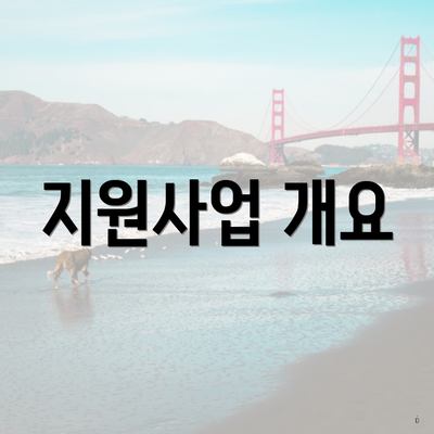 지원사업 개요