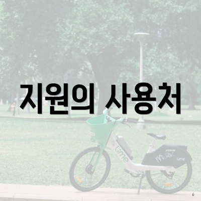 지원의 사용처