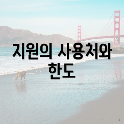 지원의 사용처와 한도