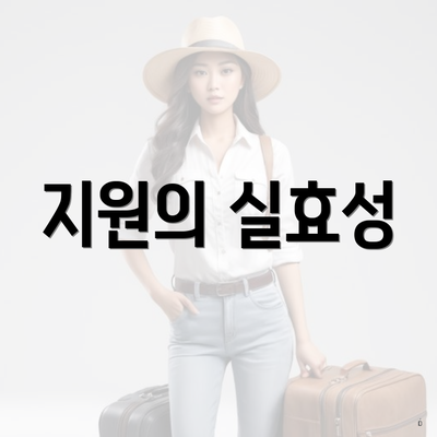 지원의 실효성