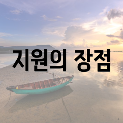 지원의 장점