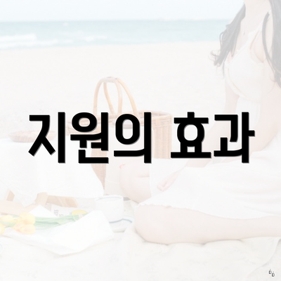 지원의 효과
