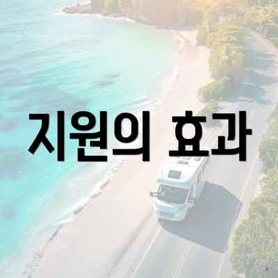 지원의 효과