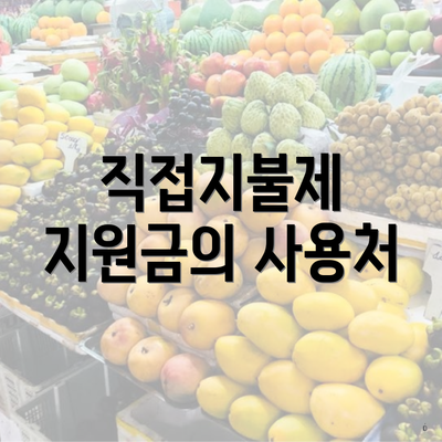 직접지불제 지원금의 사용처