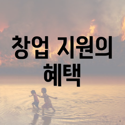창업 지원의 혜택
