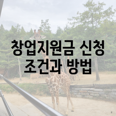 창업지원금 신청 조건과 방법