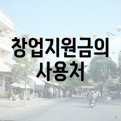 창업지원금의 사용처