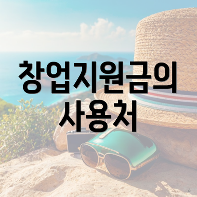 창업지원금의 사용처