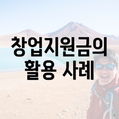 창업지원금의 활용 사례