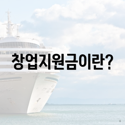 창업지원금이란?