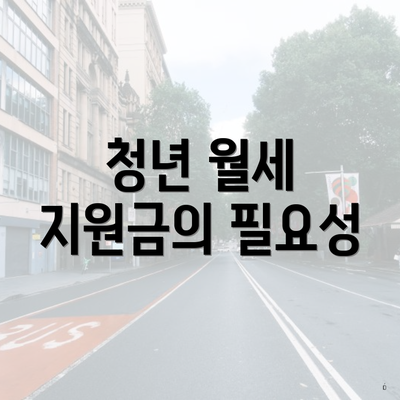 청년 월세 지원금의 필요성
