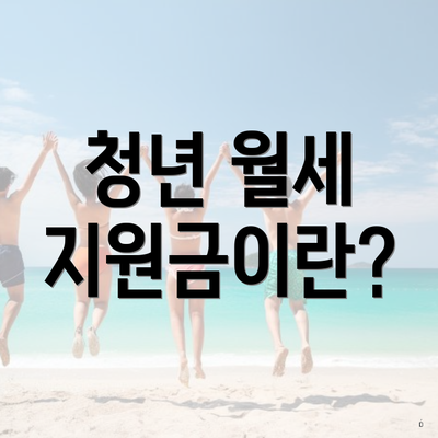 청년 월세 지원금이란?