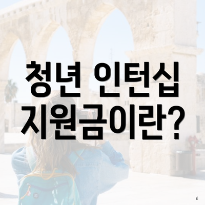 청년 인턴십 지원금이란?