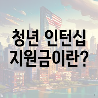 청년 인턴십 지원금이란?