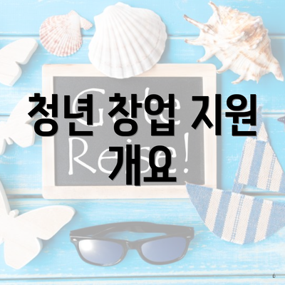 청년 창업 지원 개요