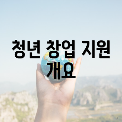 청년 창업 지원 개요