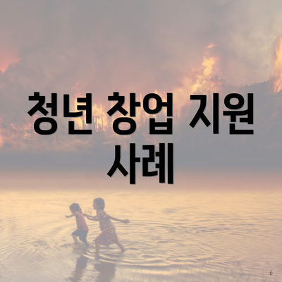 청년 창업 지원 사례