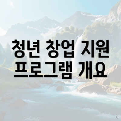 청년 창업 지원 프로그램 개요