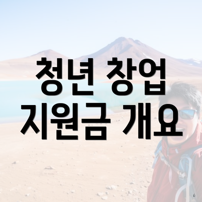 청년 창업 지원금 개요