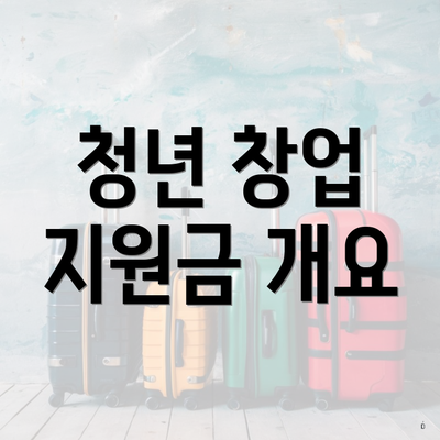 청년 창업 지원금 개요