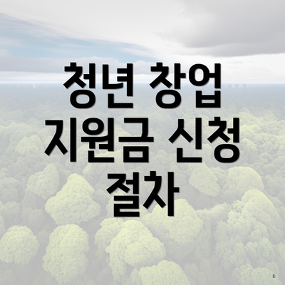 청년 창업 지원금 신청 절차