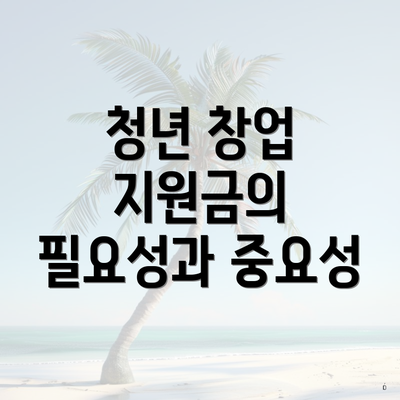 청년 창업 지원금의 필요성과 중요성
