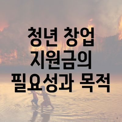 청년 창업 지원금의 필요성과 목적