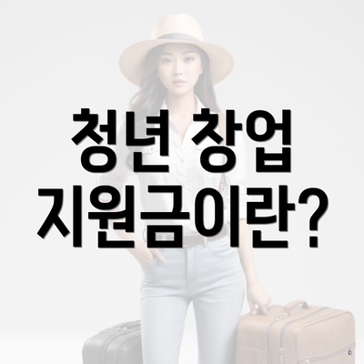 청년 창업 지원금이란?